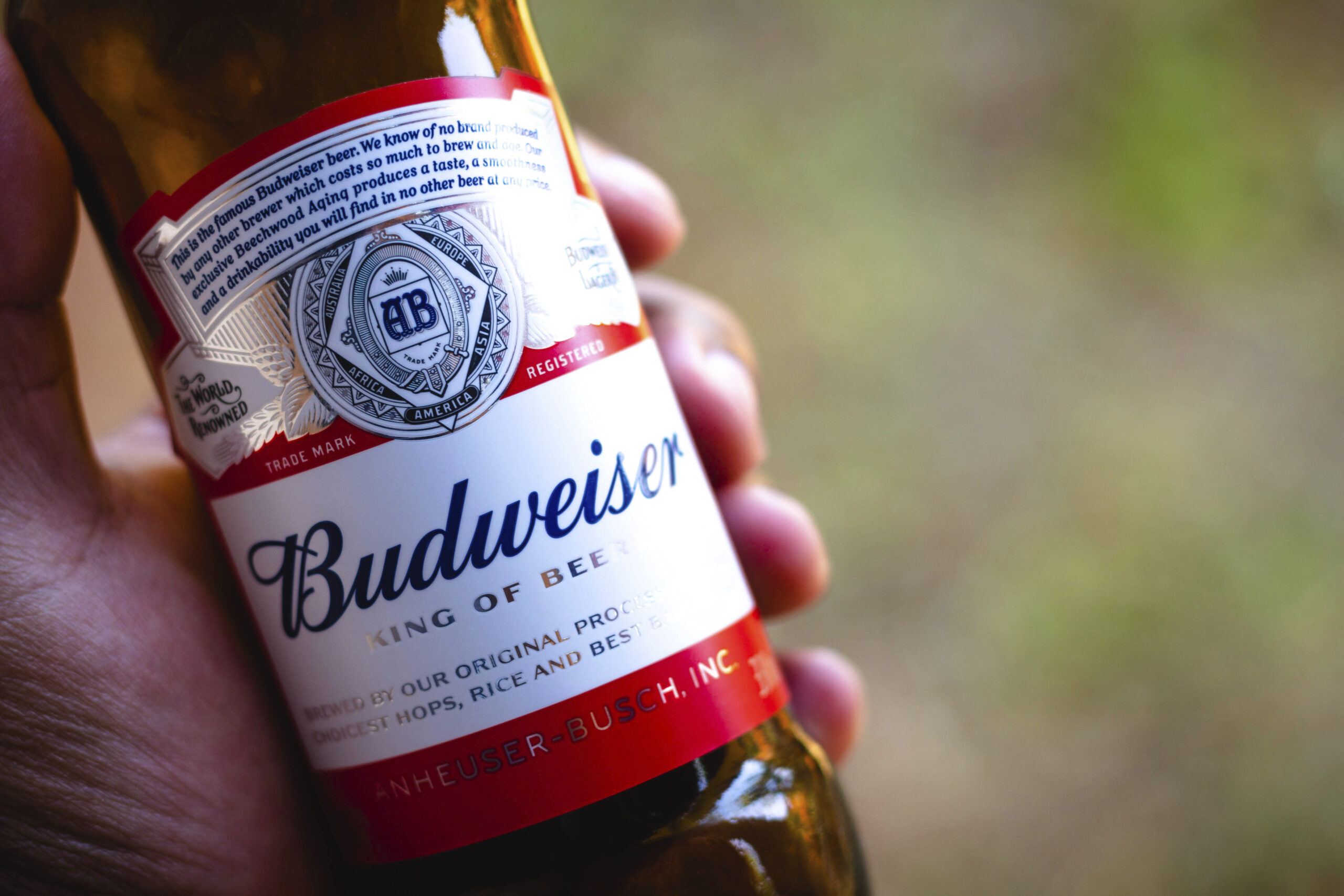 Budweiser Free Beer