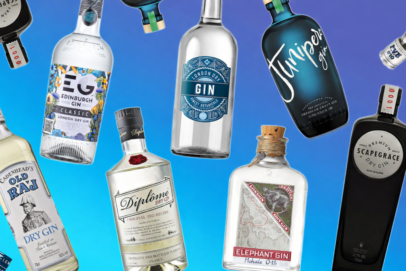 Best London Dry Gins